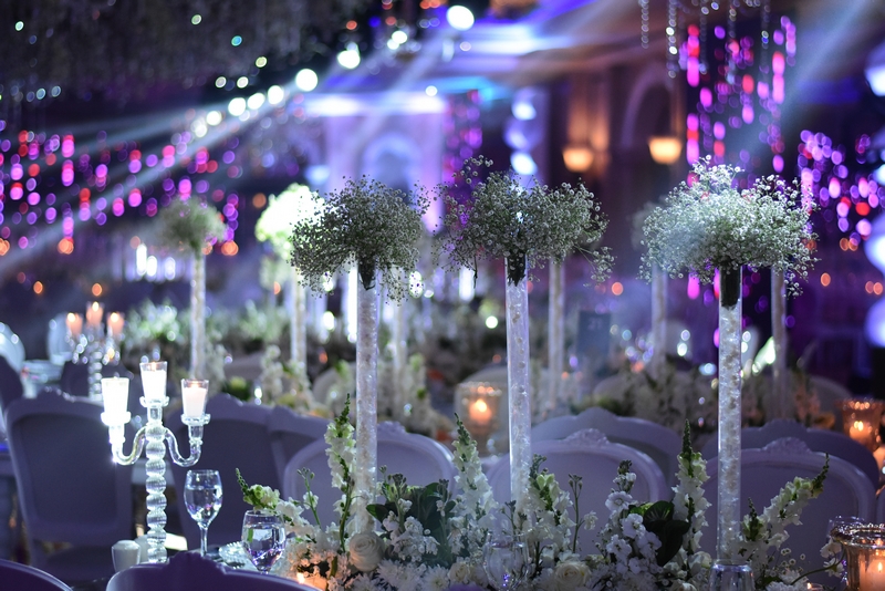 Wedding of Abbas Chamssedine and Manal Safa Part2